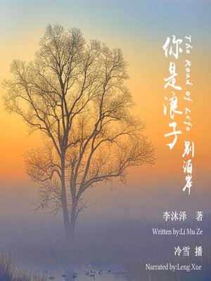 cover image of 你是浪子，别泊岸